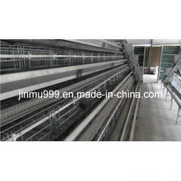 Jinfneg a Type Automatic Chicken Cage System for Poultry Farm